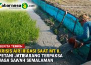 Krisis Air Irigasi Saat MT II, Petani Jatibarang Terpaksa Jaga Sawah Semalaman