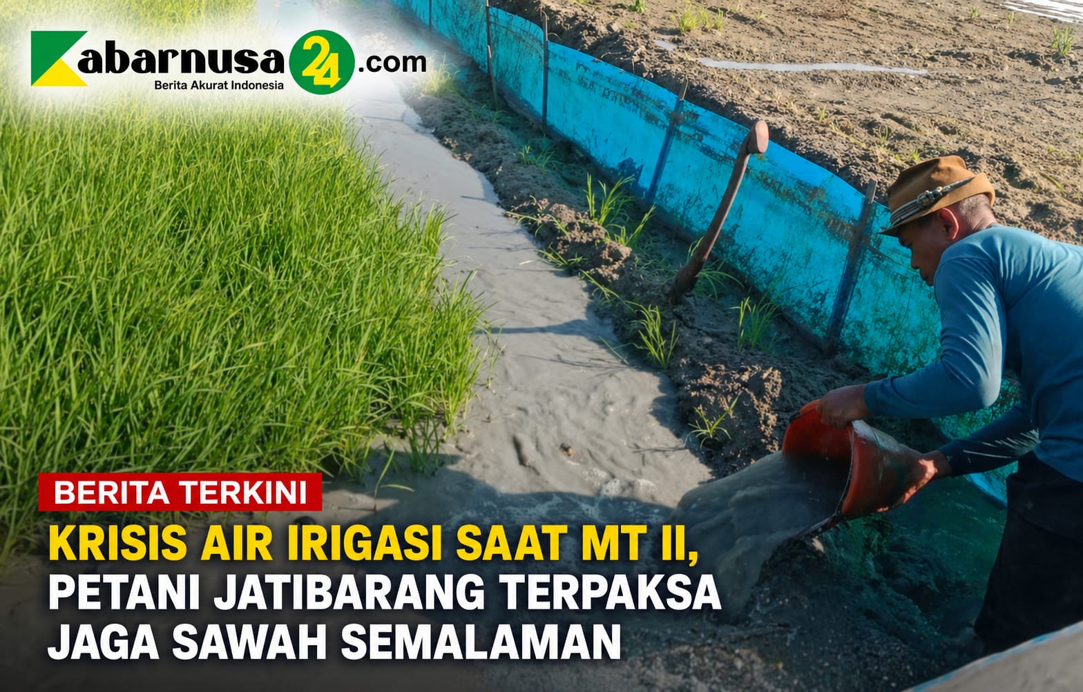 Krisis Air Irigasi Saat MT II, Petani Jatibarang Terpaksa Jaga Sawah Semalaman