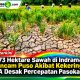 10.673 Hektare Sawah di Indramayu Terancam Puso Akibat Kekeringan, KTNA Desak Percepatan Pasokan Air