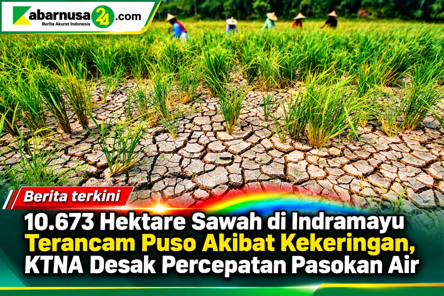 10.673 Hektare Sawah di Indramayu Terancam Puso Akibat Kekeringan, KTNA Desak Percepatan Pasokan Air