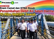 Enam Camat dan KTNA Desak Penambahan Debit Air Salam Darma, 10 Ribu Hektare Sawah Terancam Gagal Tanam