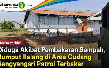 Diduga Akibat Pembakaran Sampah, Rumput Ilalang di Area Gudang Sangyangsri Patrol Terbakar Diduga Akibat Pembakaran Sampah, Rumput Ilalang di Area Gudang Sangyangsri Patrol Terbakar
