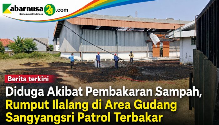 Diduga Akibat Pembakaran Sampah, Rumput Ilalang di Area Gudang Sangyangsri Patrol Terbakar