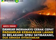 Damkar Indramayu Gerak Cepat Padamkan Kebakaran Lahan di Belakang SPBU Jatibarang, Dua Armada Diterjunkan