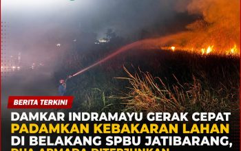 Damkar Indramayu Gerak Cepat Padamkan Kebakaran Lahan di Belakang SPBU Jatibarang, Dua Armada Diterjunkan Damkar Indramayu Gerak Cepat Padamkan Kebakaran Lahan di Belakang SPBU Jatibarang, Dua Armada Diterjunkan