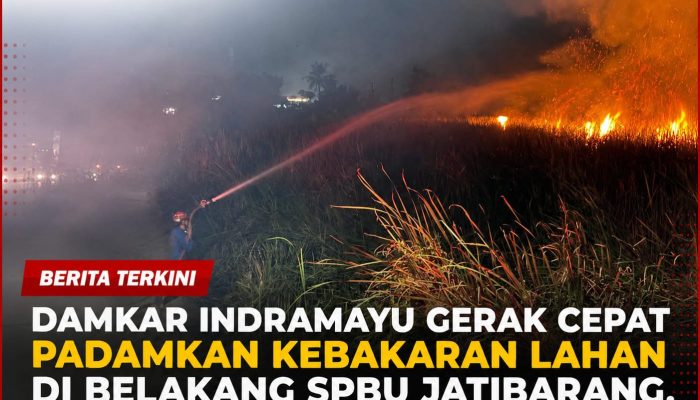 Damkar Indramayu Gerak Cepat Padamkan Kebakaran Lahan di Belakang SPBU Jatibarang, Dua Armada Diterjunkan