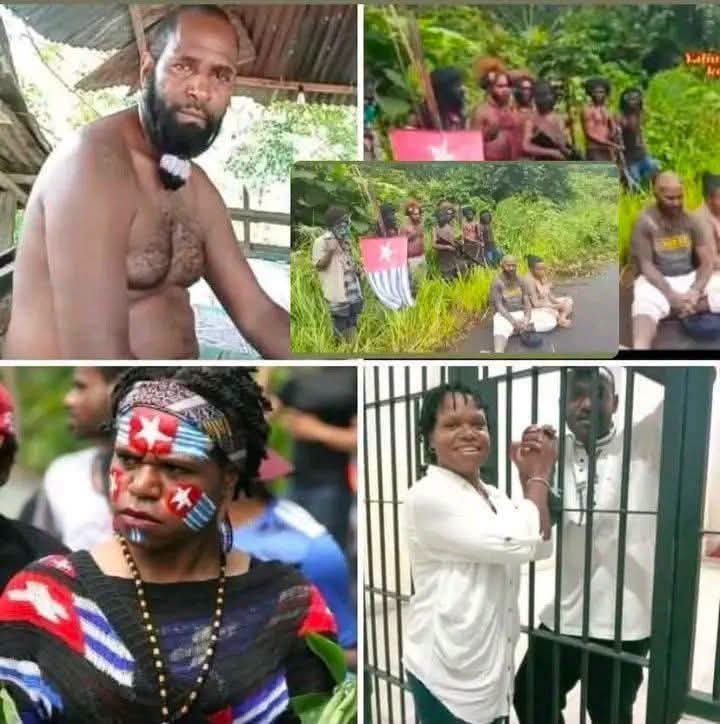 Komnasham Kecam Prilaku Biadab TPNPB-OPM di Yahukimo Eksekusi Mati Pasutri Warga Sipil OAP