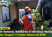 Musim Kemarau, Kebakaran di Indramayu Meningkat: Damkar Tangani 17 Insiden Selama Juli 2026