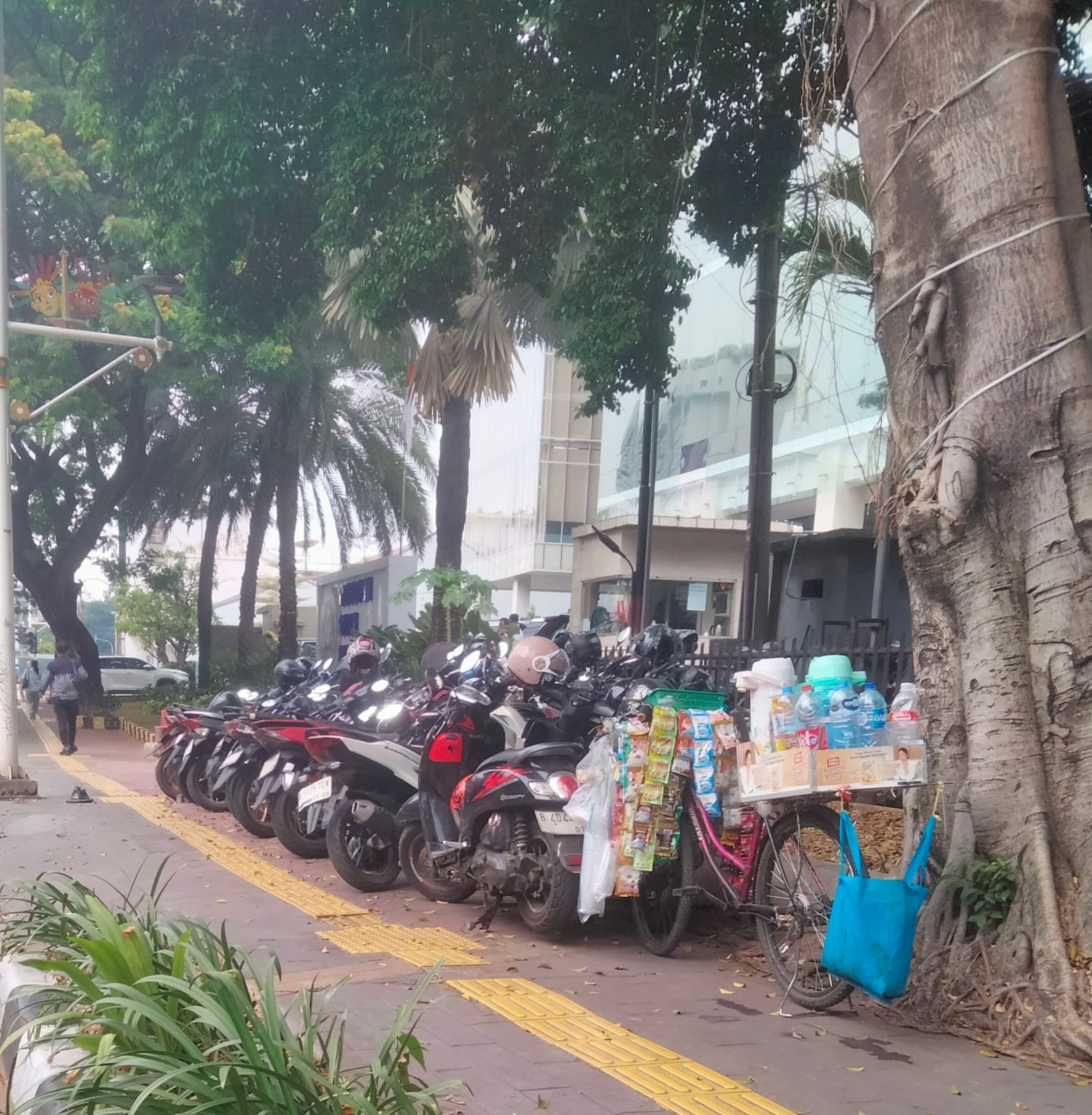 Diduga Dibiarkan Petugas Dishub, Samping Kantor BGN Kendaraan Motor Parkir Diatas Trotoar