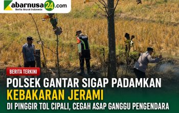 Polsek Gantar Sigap Padamkan Kebakaran Jerami di Pinggir Tol Cipali, Cegah Asap Ganggu Pengendara
