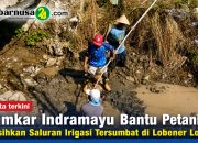Damkar Indramayu Bantu Petani Bersihkan Saluran Irigasi Tersumbat di Lobener Lor