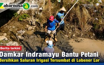 Damkar Indramayu Bantu Petani Bersihkan Saluran Irigasi Tersumbat di Lobener Lor Damkar Indramayu Bantu Petani Bersihkan Saluran Irigasi Tersumbat di Lobener Lor