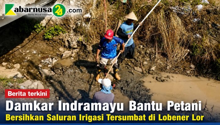 Damkar Indramayu Bantu Petani Bersihkan Saluran Irigasi Tersumbat di Lobener Lor