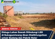 Diduga Lahan Sawah Dilindungi LSD di Sukagumiwang Akan Dialihfungsikan untuk Gudang dan Pabrik Heler