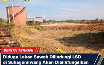 Diduga Lahan Sawah Dilindungi LSD di Sukagumiwang Akan Dialihfungsikan untuk Gudang dan Pabrik Heler