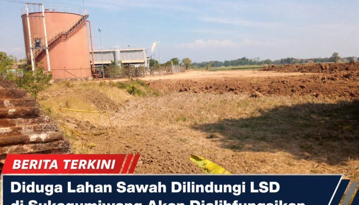 Diduga Lahan Sawah Dilindungi LSD di Sukagumiwang Akan Dialihfungsikan untuk Gudang dan Pabrik Heler