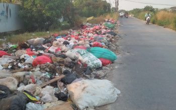 Pemda dan Warga Seperti Tidak Peduli Banyak Sampah Berserakan di Jalan Puri Harapan Bekasi Utara Pemda dan Warga Seperti Tidak Peduli Banyak Sampah Berserakan di Jalan Puri Harapan Bekasi Utara