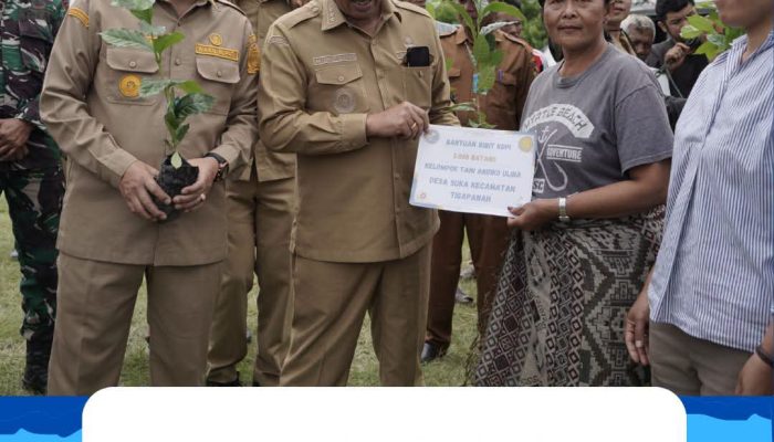 Bupati Karo Serahkan 1,2 Juta Benih Kopi Arabika untuk 259 Kelompok Tani