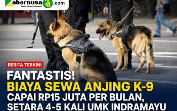 Fantastis! Biaya Sewa Anjing K-9 Capai Rp15 Juta per Bulan, Setara 4-5 Kali UMK Indramayu