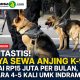 Fantastis! Biaya Sewa Anjing K-9 Capai Rp15 Juta per Bulan, Setara 4-5 Kali UMK Indramayu