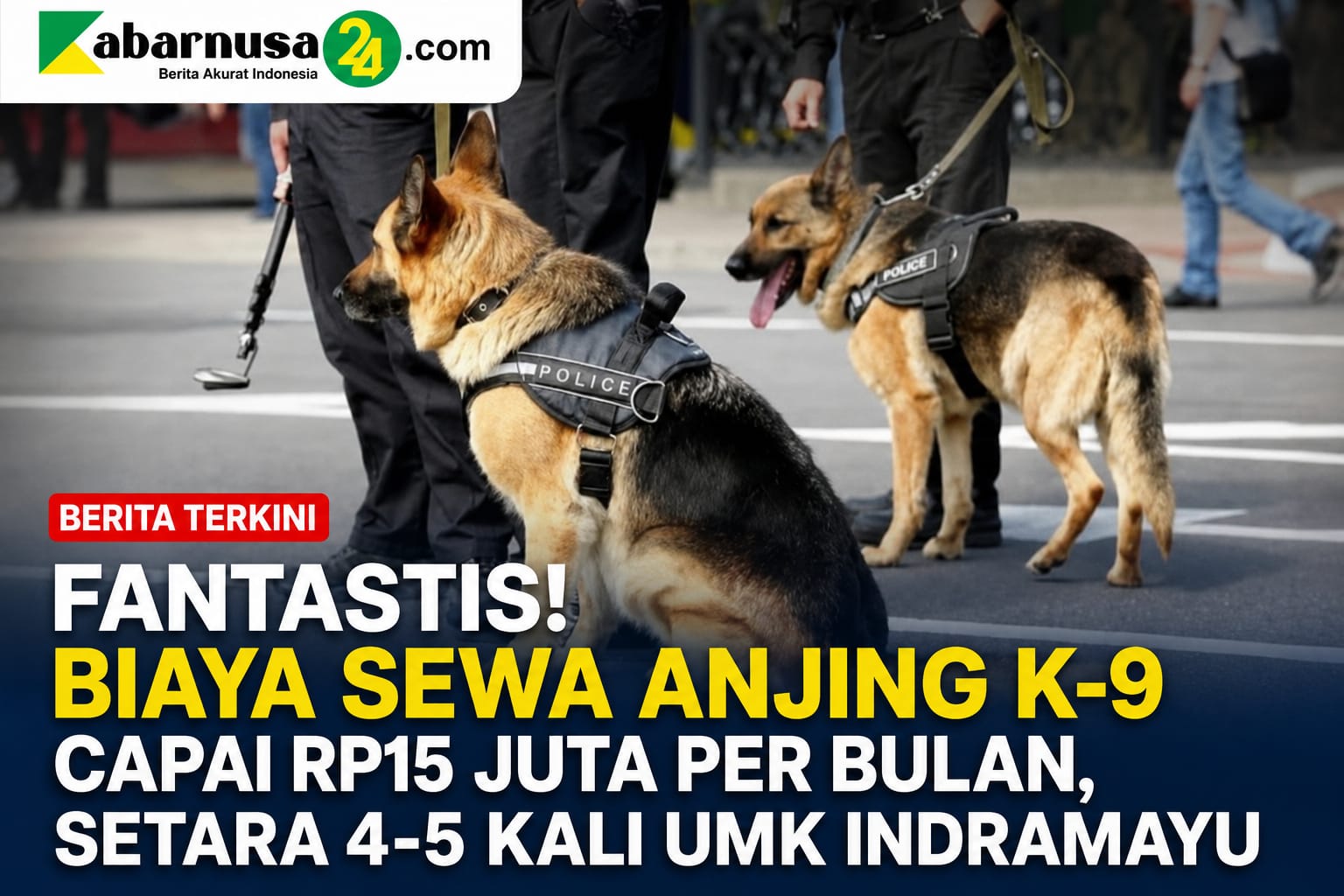 Fantastis! Biaya Sewa Anjing K-9 Capai Rp15 Juta per Bulan, Setara 4-5 Kali UMK Indramayu