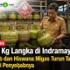 LPG 3 Kg Langka di Indramayu, Pemkab dan Hiswana Migas Turun Tangan Telusuri Penyebabnya