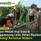 Sistem PMAAS Diuji Coba di Tunggulpayung Lelea, Petani Diperkenalkan Teknologi Pertanian Modern