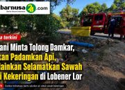 Petani Minta Tolong Damkar, Bukan Padamkan Api, Melainkan Selamatkan Sawah dari Kekeringan di Lobener Lor