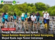Pelajar, Mahasiswa, dan Aparat Tanam Ratusan Mangrove di Pantai Karangsong, Wujud Nyata Jaga Pesisir Indramayu