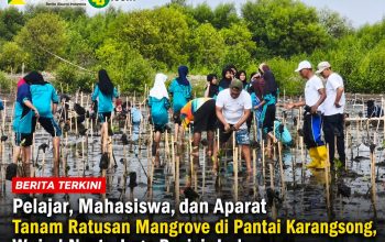 Pelajar, Mahasiswa, dan Aparat Tanam Ratusan Mangrove di Pantai Karangsong, Wujud Nyata Jaga Pesisir Indramayu