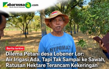 Dilema Petani desa Lobener Lor: Air Irigasi Ada, Tapi Tak Sampai ke Sawah, Ratusan Hektare Terancam Kekeringan