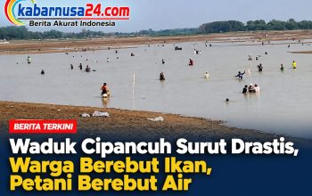 Waduk Cipancuh Surut Drastis, Warga Berebut Ikan, Petani Berebut Air Waduk Cipancuh Surut Drastis, Warga Berebut Ikan, Petani Berebut Air