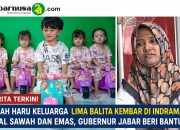 Kisah Haru Keluarga Lima Balita Kembar di Indramayu Jual Sawah dan Emas, Gubernur Jabar Beri Bantuan