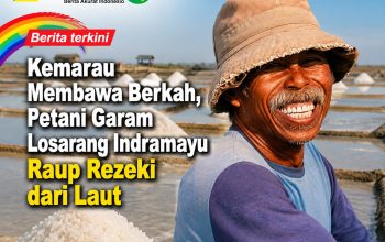 Kemarau Membawa Berkah, Petani Garam Losarang Indramayu Raup Rezeki dari Laut Kemarau Membawa Berkah, Petani Garam Losarang Indramayu Raup Rezeki dari Laut