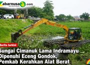 Sungai Cimanuk Lama Indramayu Dipenuhi Eceng Gondok, Pemkab Kerahkan Alat Berat