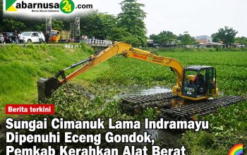 Sungai Cimanuk Lama Indramayu Dipenuhi Eceng Gondok, Pemkab Kerahkan Alat Berat