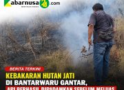 Kebakaran Hutan Jati di Bantarwaru Gantar, Api Berhasil Dipadamkan Sebelum Meluas