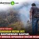 Kebakaran Hutan Jati di Bantarwaru Gantar, Api Berhasil Dipadamkan Sebelum Meluas