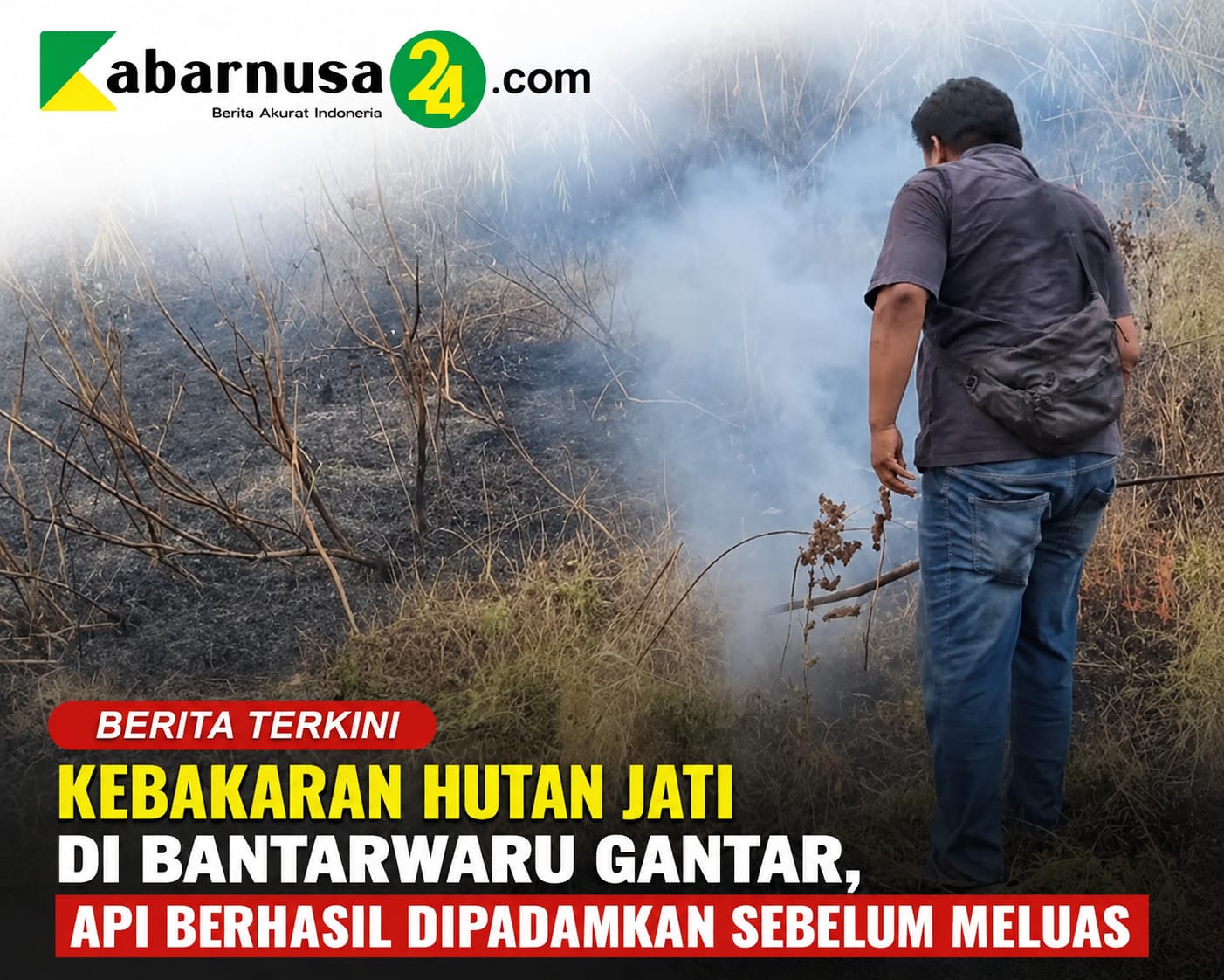 Kebakaran Hutan Jati di Bantarwaru Gantar, Api Berhasil Dipadamkan Sebelum Meluas