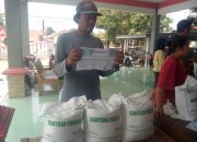 Bantuan Beras 30 Kg Disalurkan, 1.001 KPM desa Pawidean Jatibarang Disambut Antusias Bantuan Beras 30 Kg Disalurkan, 1.001 KPM desa Pawidean Jatibarang Disambut Antusias