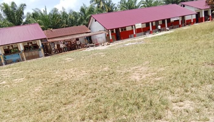 Rp1,6 Miliar Proyek Revitalisasi SDN 100908 Muara Ampolu II Disorot: P2SP Mengaku Hanya Pajangan, Dinas Pendidikan Jangan Bungkam