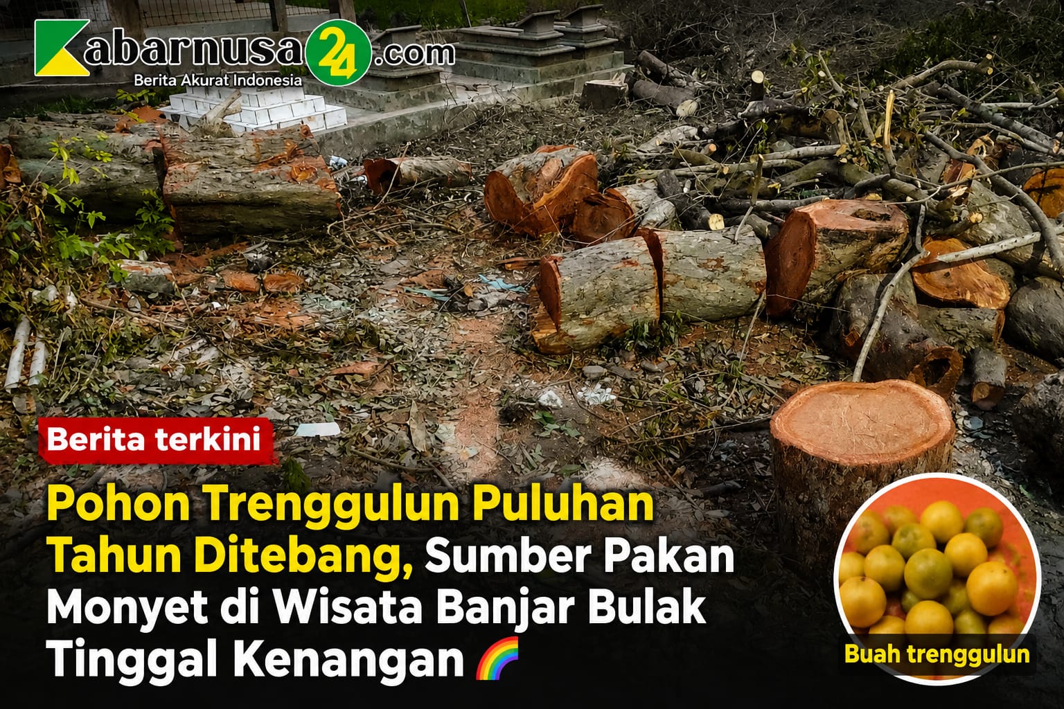 Pohon Trenggulun Puluhan Tahun Ditebang, Sumber Pakan Monyet di Wisata Banjar Bulak Tinggal Kenangan