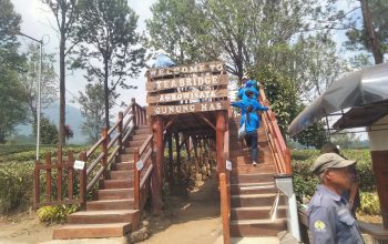 KPK Geledah 3 Dinas Pemkab Bogor, Pengamat : Villa Ilegal dan Wisata Puncak Diduga Jadi Sarang Kebocoran PAD