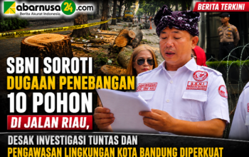 SBNI Soroti Dugaan Penebangan 10 Pohon di Jalan Riau, Desak Investigasi Tuntas dan Pengawasan Lingkungan Kota Bandung Diperkuat