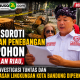 SBNI Soroti Dugaan Penebangan 10 Pohon di Jalan Riau, Desak Investigasi Tuntas dan Pengawasan Lingkungan Kota Bandung Diperkuat
