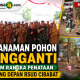 PENANAMAN POHON PENGGANTI DALAM RANGKA PENATAAN GERBANG DEPAN RSUD CIBABAT
