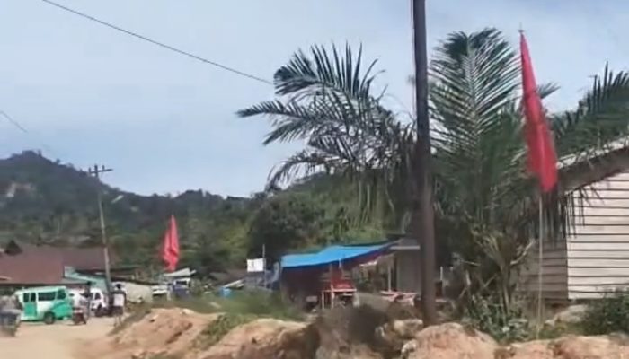 HUT RI ke-81 di Hunian Mandiri Tukka Disorot, Bendera Partai Disebut Dominasi Lokasi Bencana