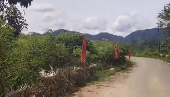 HUT RI ke-81 di Hunian Mandiri Tukka Disorot, Bendera Partai Disebut Dominasi Lokasi Bencana
