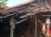 Istri dan Anak Mantan Kuwu Disebut Masuk Data Bansos, Pemdes Mekarsari Soroti Ketepatan Sasaran Istri dan Anak Mantan Kuwu Disebut Masuk Data Bansos, Pemdes Mekarsari Soroti Ketepatan Sasaran