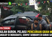 Sebulan Buron, Pelaku Pencurian Gran Max Ditangkap di Indramayu, Sempat Sembunyi di Gubuk Sawah